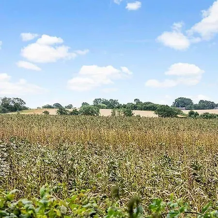 Sj300-haderslev-vikaerparken-87 Hébergement de vacances *