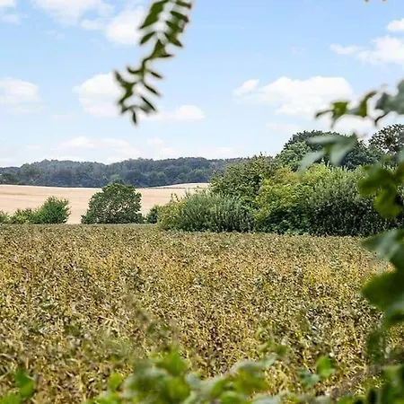 Sj300-haderslev-vikaerparken-87 Prázdninový dům